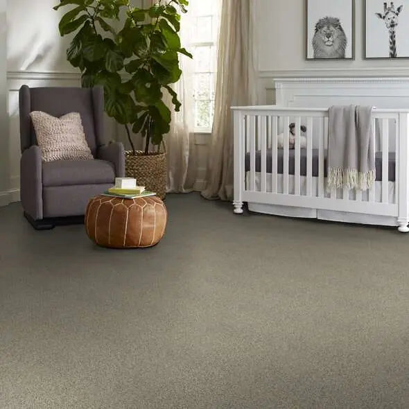 Caress - Angora Classic III - Carpet Shaw Floors