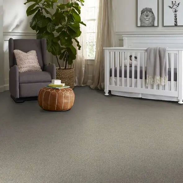 Caress - Angora Classic III - Carpet Shaw Floors