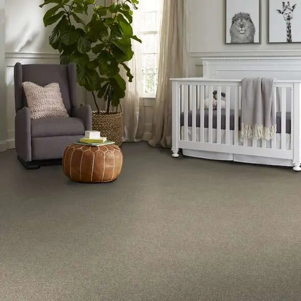 Caress - Angora Classic II - Carpet Shaw Floors