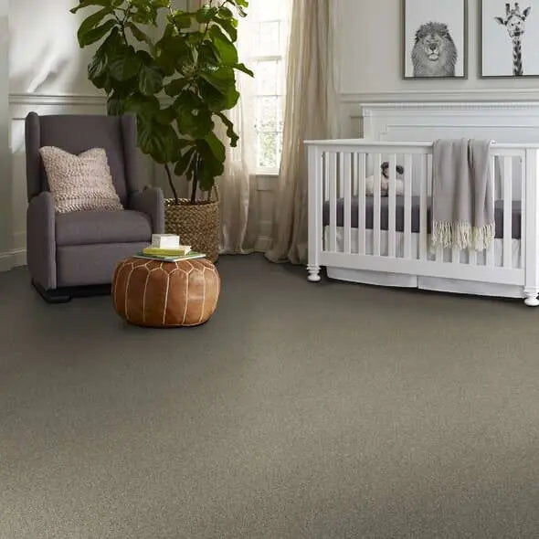 Caress - Angora Classic II - Carpet Shaw Floors