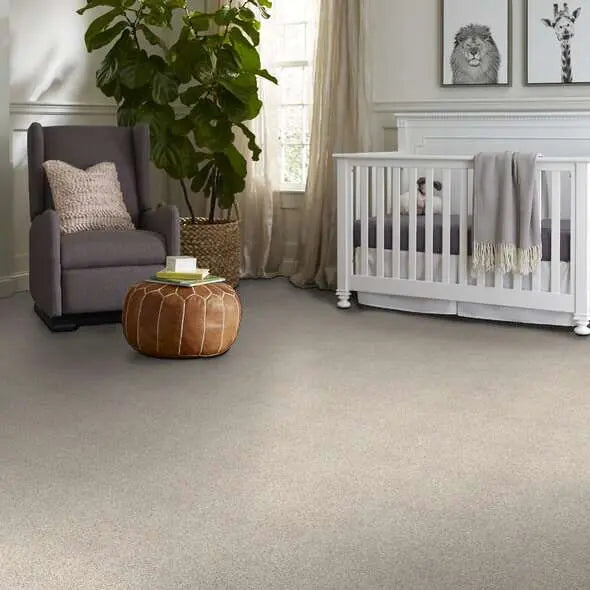 Caress - Devon Classic III - Carpet Shaw Floors