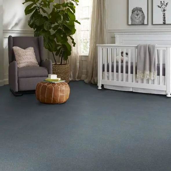 Colorwall - Find your comfort I - Solid - Carpet Shaw Floors