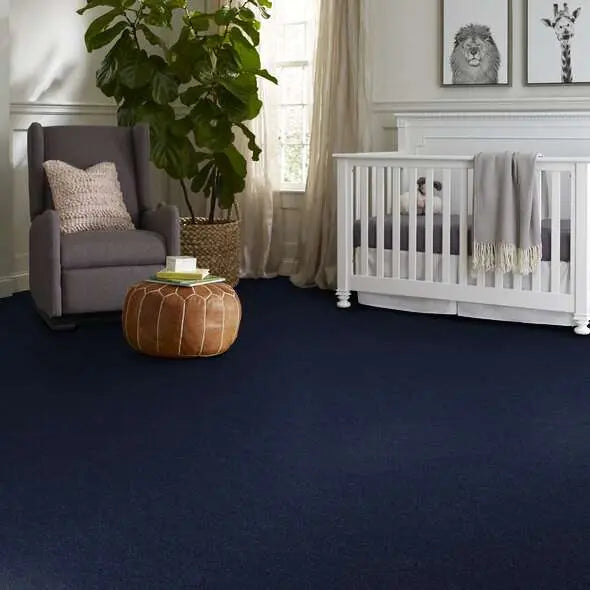 Colorwall - Find your comfort I - Solid - Carpet Shaw Floors