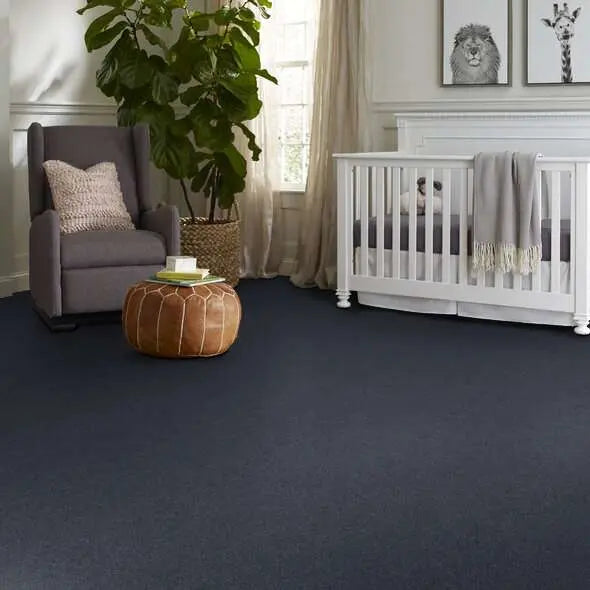 Colorwall - Find your comfort I - Solid - Carpet Shaw Floors
