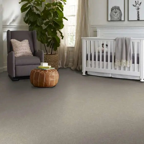 Colorwall - Find your comfort I - Solid - Carpet Shaw Floors