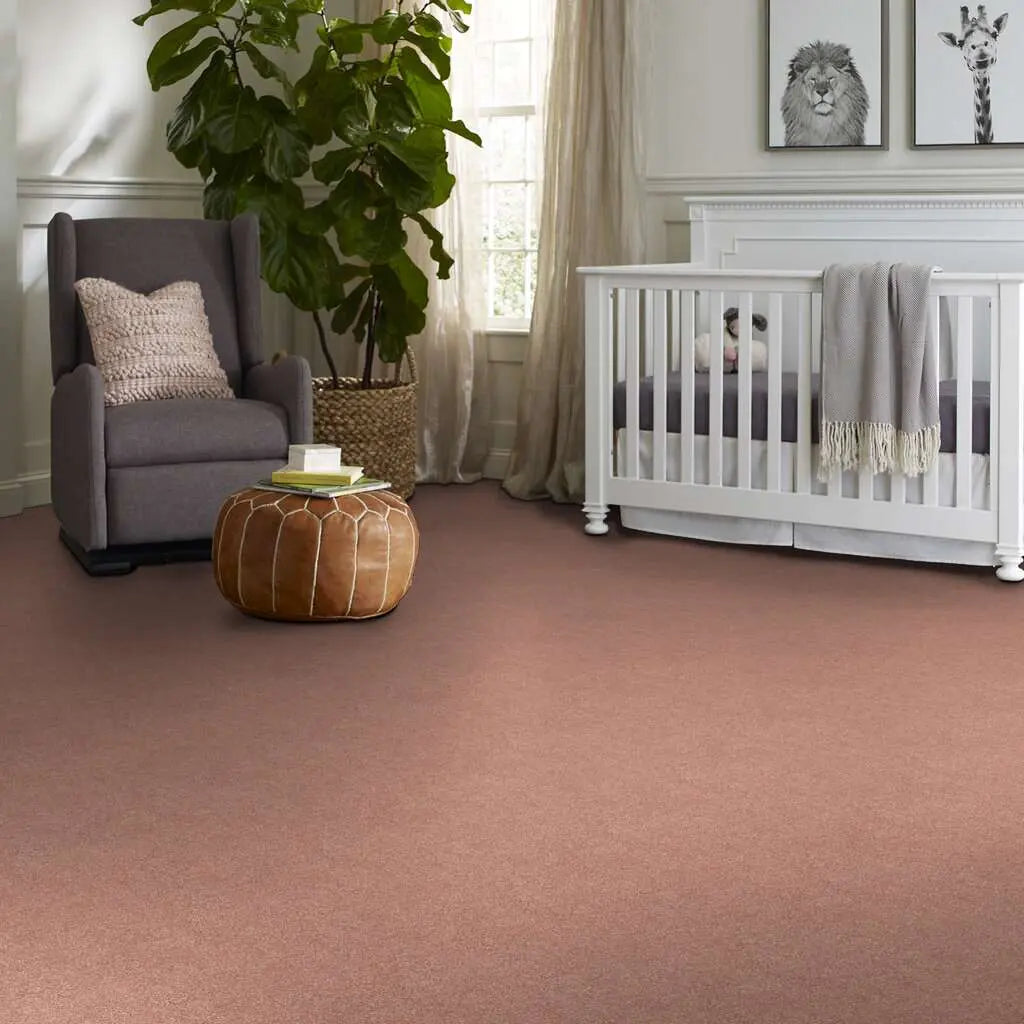 Colorwall - Find your comfort I - Solid - Carpet Shaw Floors