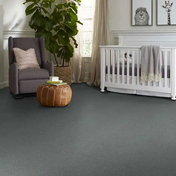 Colorwall - Find your comfort Blue - Solid - Carpet Shaw Floors