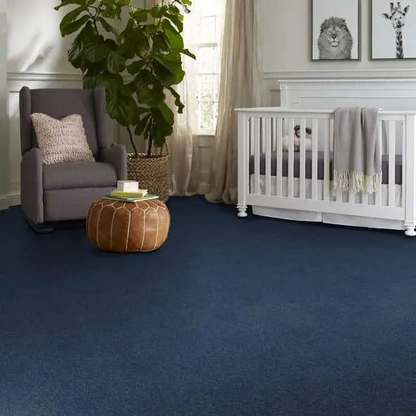 Colorwall - Find your comfort I - Tonal - Carpet Shaw Floors