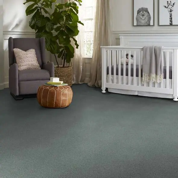 Colorwall - Find your comfort Blue - Tonal - Carpet Shaw Floors