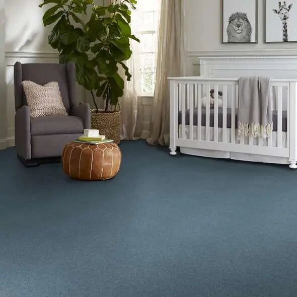 Colorwall - Find your comfort Blue - Tonal - Carpet Shaw Floors