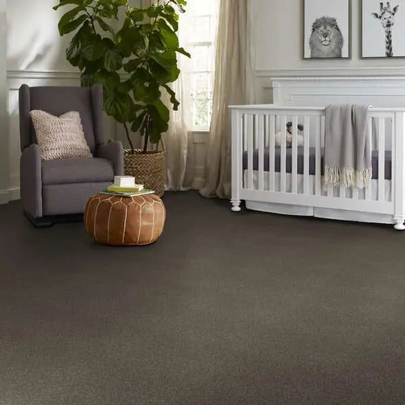 Colorwall - Find your comfort Blue - Tonal - Carpet Shaw Floors