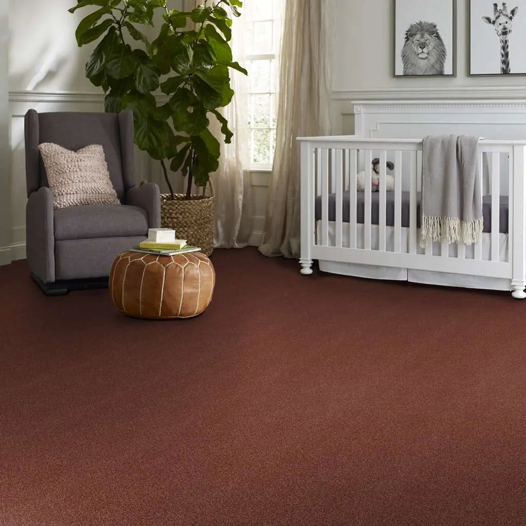 Colorwall - Find your comfort Blue - Tonal - Carpet Shaw Floors
