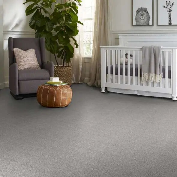 Colorwall - Find your comfort I -Accent - Carpet Shaw Floors