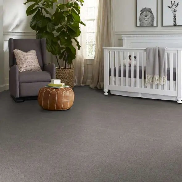 Colorwall - Find your comfort I -Accent - Carpet Shaw Floors