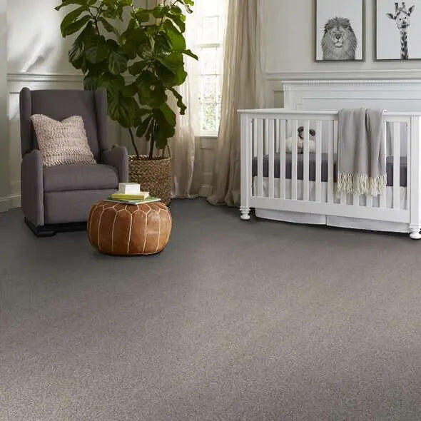 Colorwall - Find your comfort II -Accent - Carpet Shaw Floors