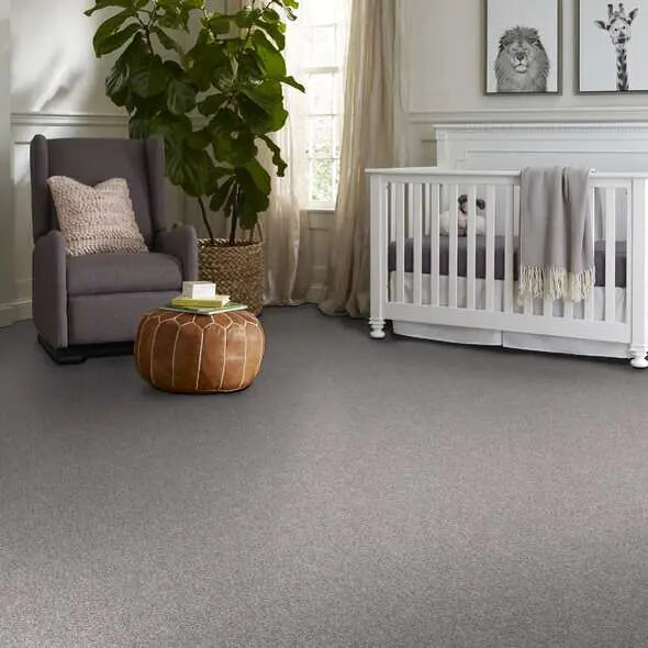 Colorwall - Find your comfort II -Accent - Carpet Shaw Floors