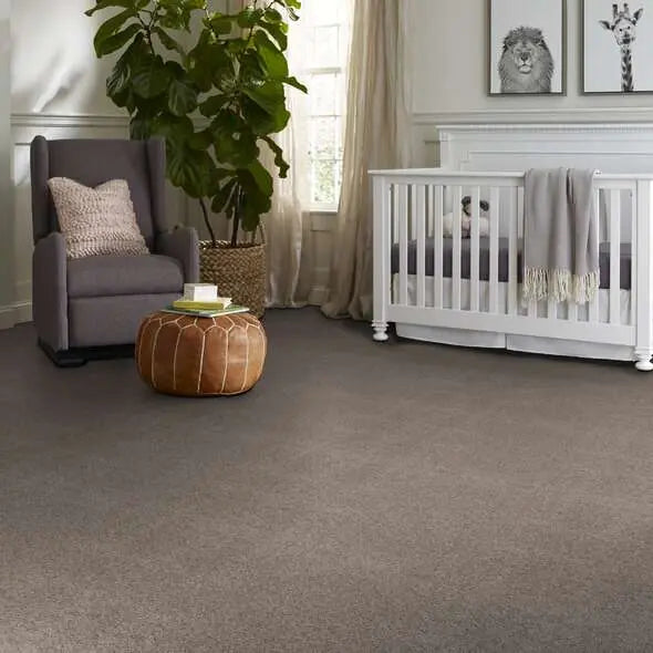 Colorwall - Find your comfort II -Accent - Carpet Shaw Floors