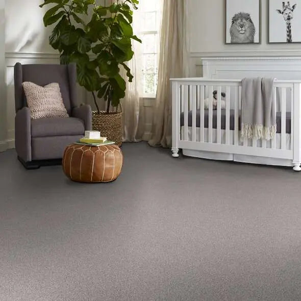 Colorwall - Find your comfort II -Accent - Carpet Shaw Floors