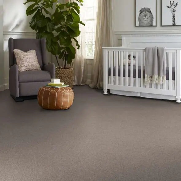 Colorwall - Find your comfort II -Accent - Carpet Shaw Floors