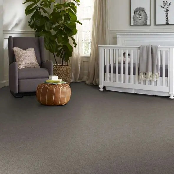 Colorwall - Find your comfort II -Accent - Carpet Shaw Floors
