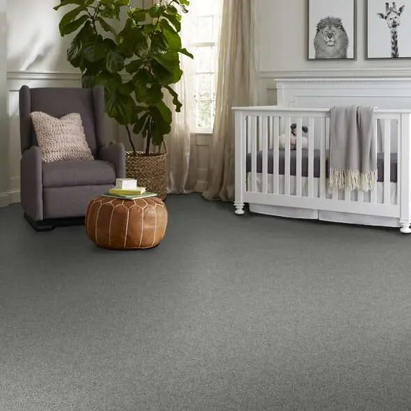 Colorwall - Find your comfort Blue -Accent - Carpet Shaw Floors