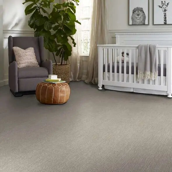 Colorwall - Creating Memories - Carpet Shaw Floors