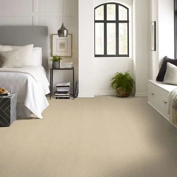 Colorwall - Tonal Comfort I - Carpet Shaw Floors