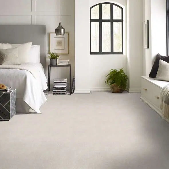 Colorwall - Tonal Comfort I - Carpet Shaw Floors