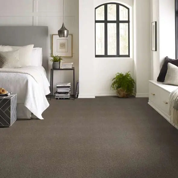 Colorwall - Tonal Comfort I - Carpet Shaw Floors