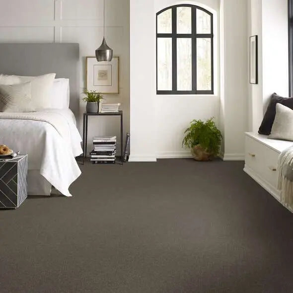 Colorwall - Tonal Comfort II - Carpet Shaw Floors