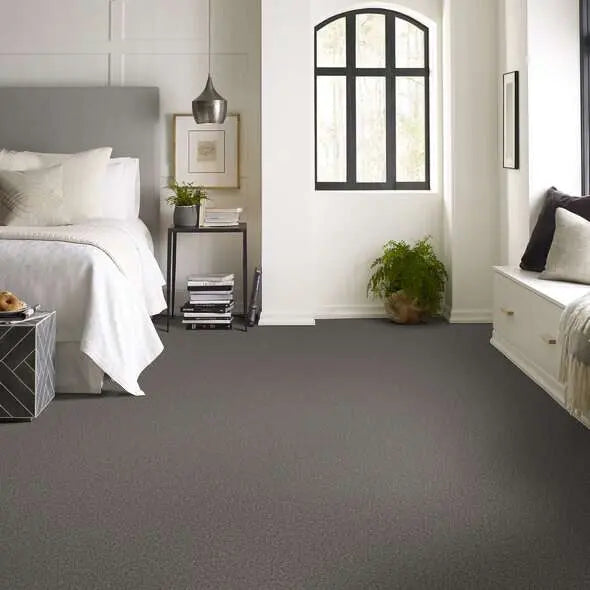 Colorwall - Tweed Comfort I - Carpet Shaw Floors