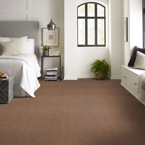 Caress - Cozy Harbor I - Carpet Shaw Floors