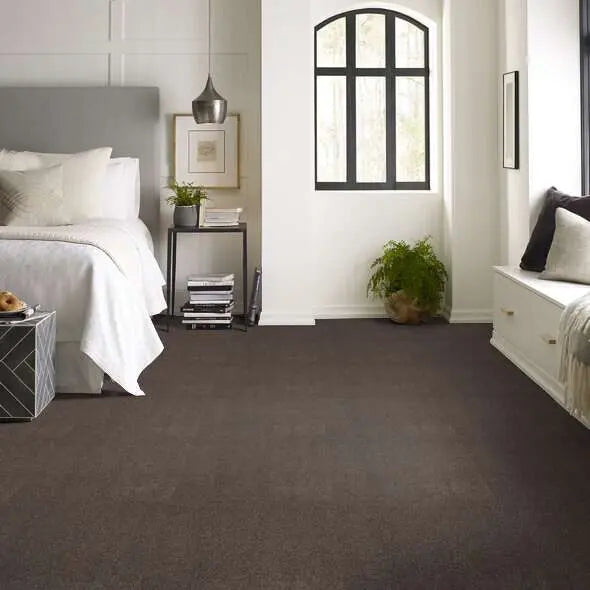 Caress - Cozy Harbor I - Carpet Shaw Floors