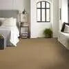 Caress - Cashmere I - Carpet Shaw Floors