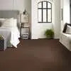 Caress - Cashmere I - Carpet Shaw Floors