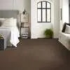 Caress - Cashmere I - Carpet Shaw Floors