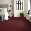 Caress - Cashmere I - Carpet Shaw Floors