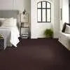 Caress - Cashmere I - Carpet Shaw Floors