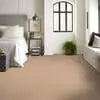 Caress - Cashmere II - Carpet Shaw Floors