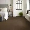 Caress - Cashmere II - Carpet Shaw Floors