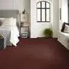 Caress - Cashmere IV - Carpet Shaw Floors