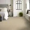 Caress - Cashmere Classic I - Carpet Shaw Floors