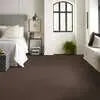 Caress - Cashmere Classic I - Carpet Shaw Floors