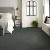Caress - Cashmere Classic II - Carpet Shaw Floors
