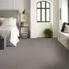 Caress - Cashmere Classic II - Carpet Shaw Floors