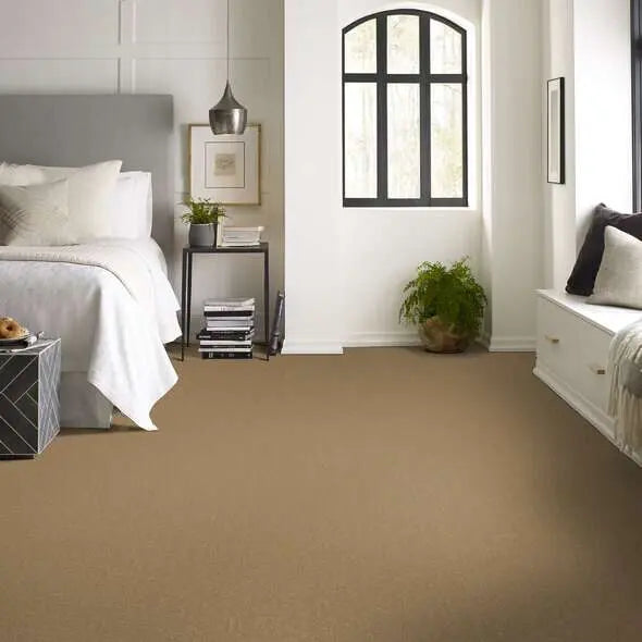 Caress - Cashmere Classic II - Carpet Shaw Floors