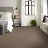 Caress - Cashmere Classic II - Carpet Shaw Floors