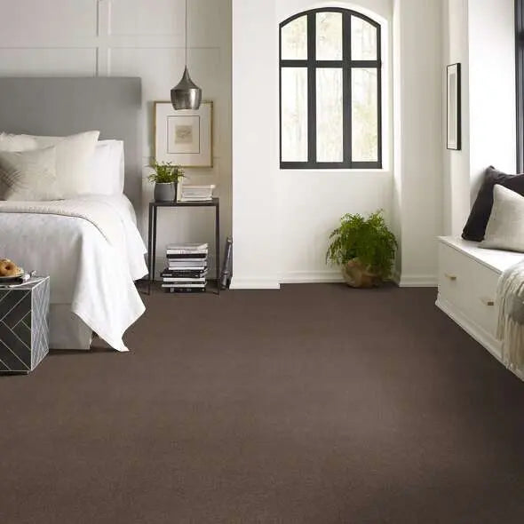 Caress - Cashmere Classic II - Carpet Shaw Floors