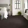 Caress - Cashmere Classic III - Carpet Shaw Floors