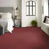 Caress - Cashmere Classic III - Carpet Shaw Floors